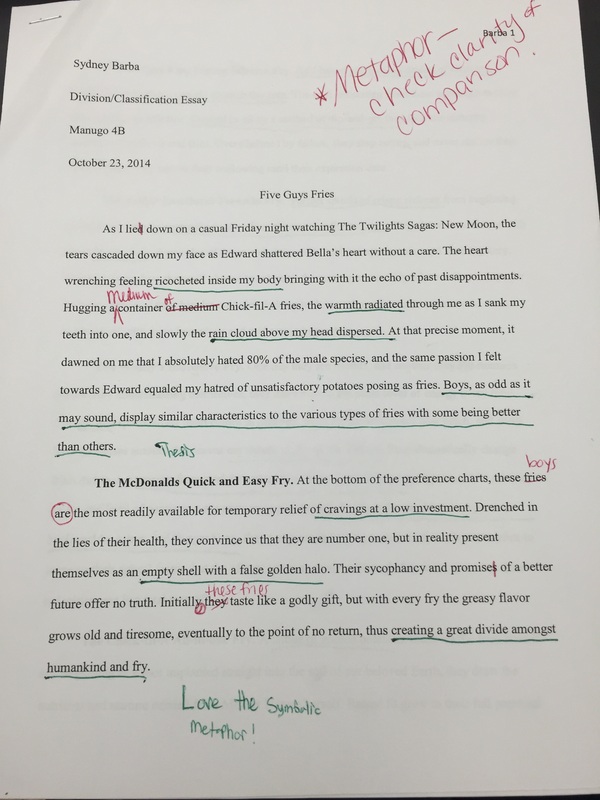 Division And Classification Essay Examples Free Essays